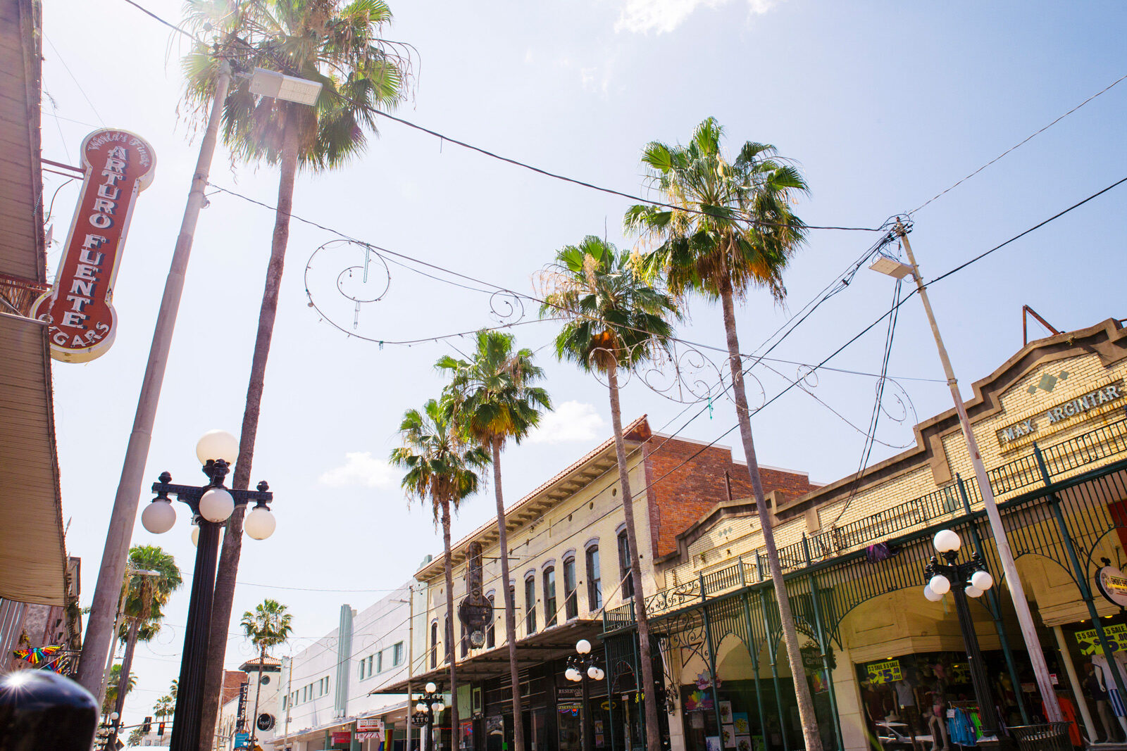 Cables and palm trees over the street near our hotel in Ybor City, Tampa
