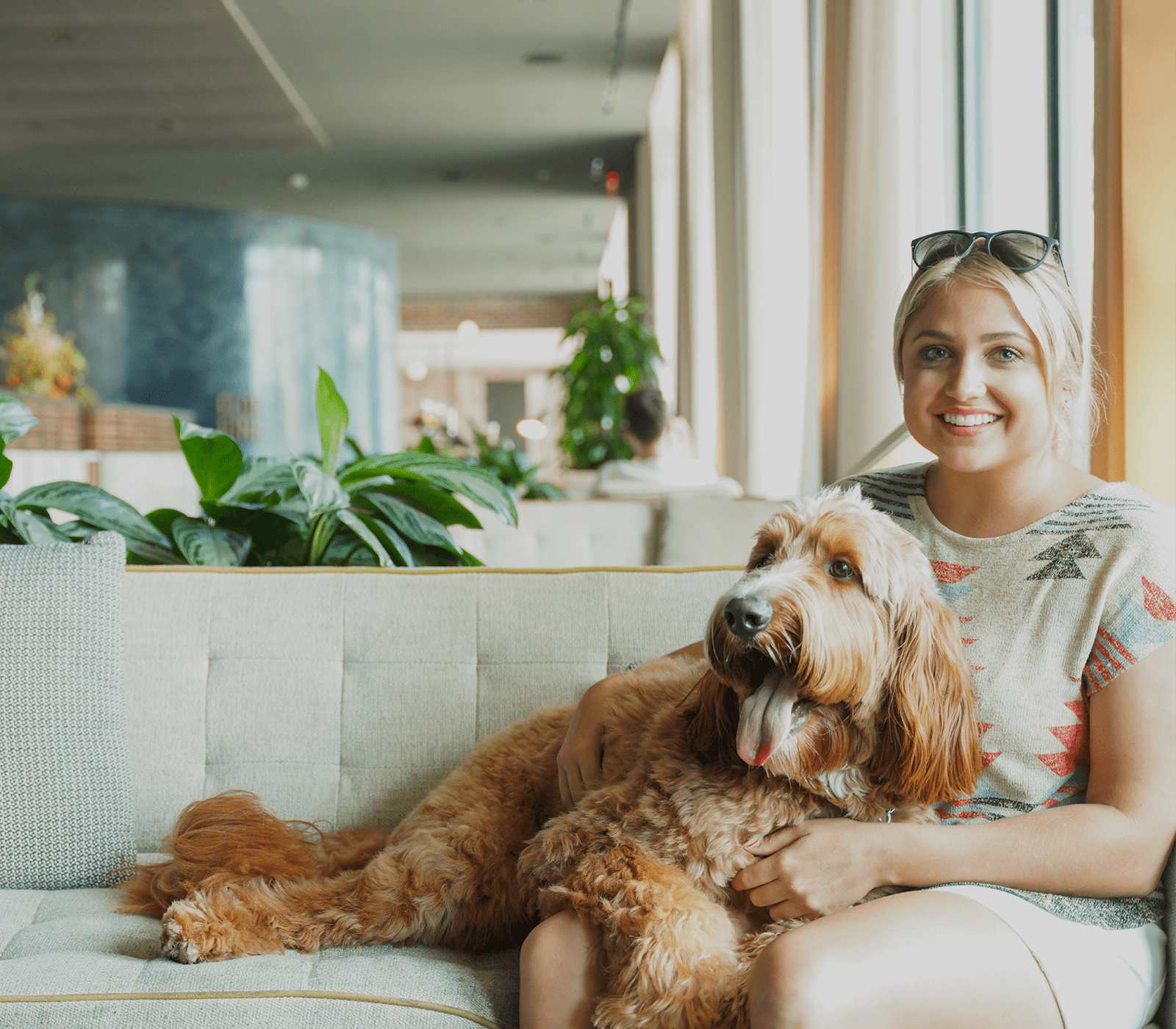 Person With Dog In Hotel Haya Lobby